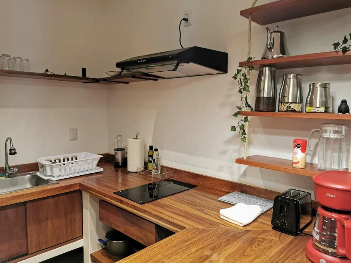 Cocomobay, Apartment Fully Furnished In 툴룸